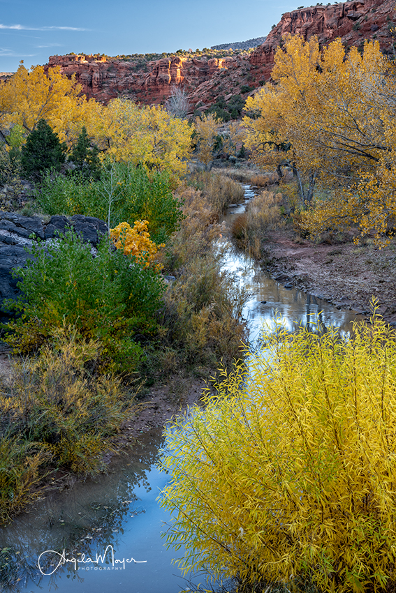 Dominguez Canyon Creek_DSC7958_WEB