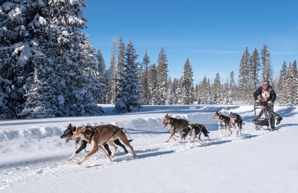 aaron natoniewski_nik1091_web