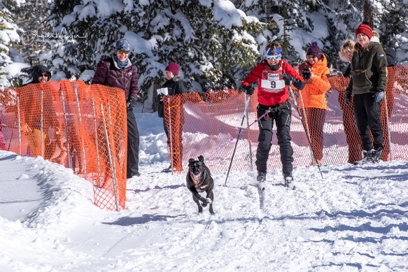 laurie brandt_nik1191_web