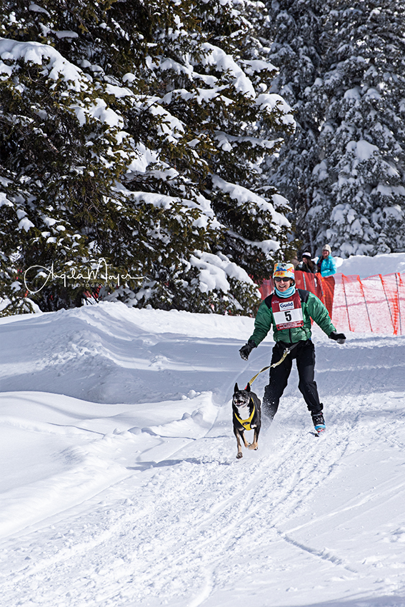 skijor #5_nik1210_web