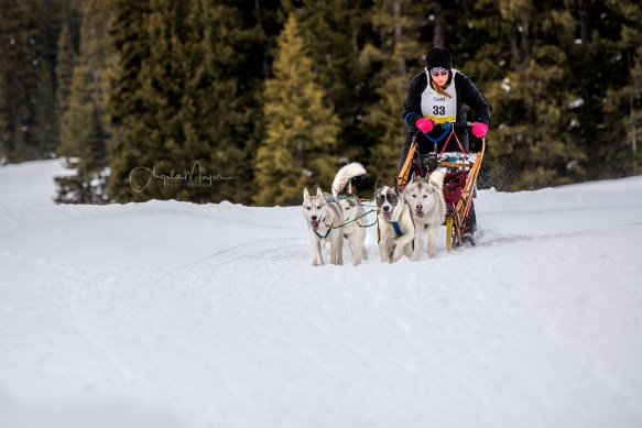 Girl with Sled Dogs_DSC8483_ME_WEB