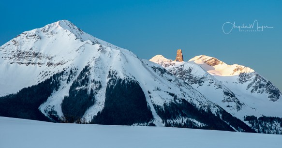 Lizard Head_NIK1423_WEB